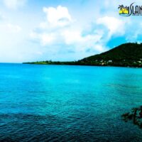 Island Tour Island Tour